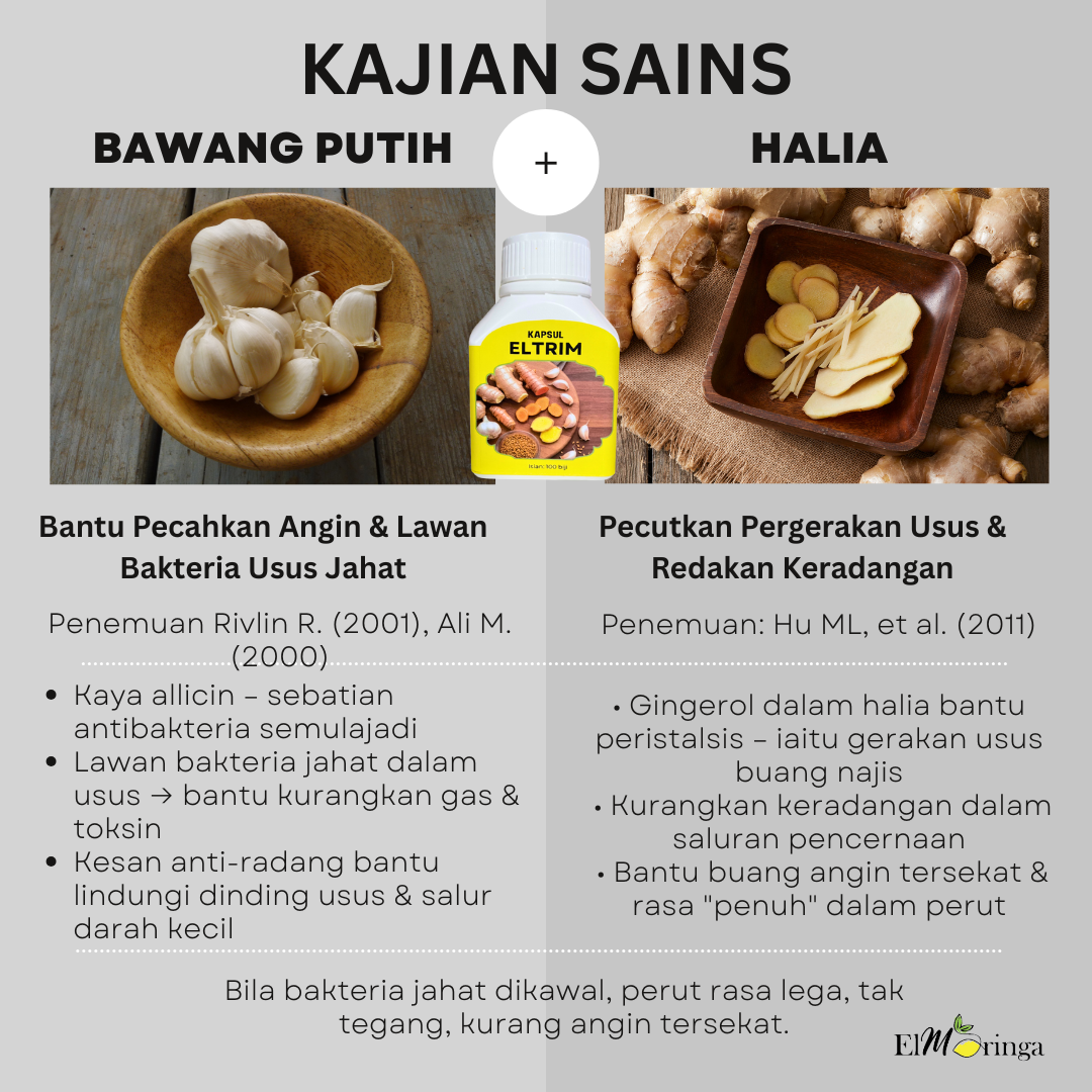 Manfaat Bawang Putih dan Kunyit